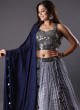 Chiffon Lehenga Choli In Grey Color